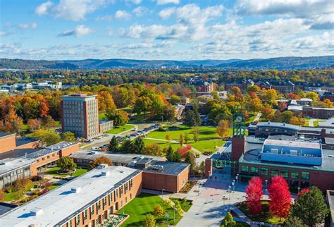 suny binghamton university